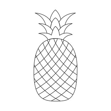 Illustration vector graphic of pineapple outline isolated on white background. Perfect to use for coloring page or drawing page.