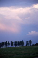 sunset view of the pink grey sky and trees before a thunderstorm
