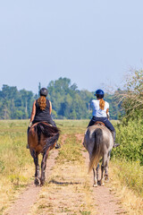 Two women riding on horses on a path in a meadow landscape in summer