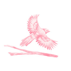 Bird painting illustration logo