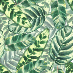Fototapeta premium Tropical leaves seamless pattern, jungle green plants. Summer rainforest exotic foliage design Watercolor hand drawn illustration for wallpaper, textiles, wrapping paper, fabric on isolated background