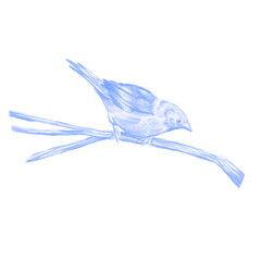 Bird painting illustration logo