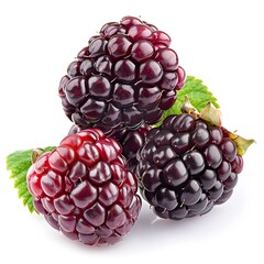 Boysenberry isolated on white background