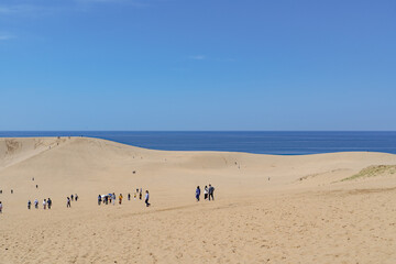 日本の鳥取にある広大な砂丘の風景