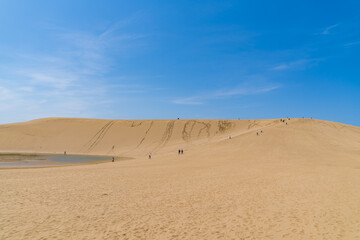 日本の鳥取県の砂丘の風景