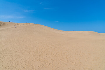 日本の鳥取県にある、美しい鳥取砂丘の風景