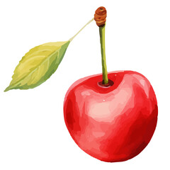 Hand-Painted Watercolor Cherry Fruit Clipart | High-Quality Cherry Illustrations for Invitations, Packaging, Branding & Home Decor