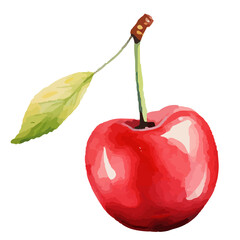 Hand-Painted Watercolor Cherry Fruit Clipart | High-Quality Cherry Illustrations for Invitations, Packaging, Branding & Home Decor