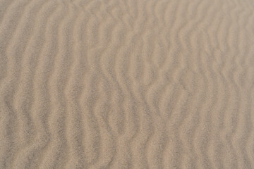 Obraz premium たくさんの観光客が訪れる、日本の鳥取砂丘の風景