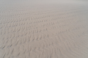 日本の鳥取県の鳥取砂丘で見られる風紋