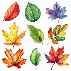 Obraz premium This watercolor set features a vibrant collection of autumn leaves.