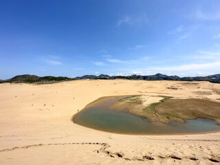日本の鳥取にある広大な砂丘の風景