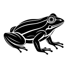 Simple and minimalist frog logo icon vector illustration 
