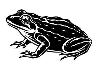 Vector illustration of toad silhouette 