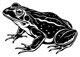 Vector illustration of toad silhouette 