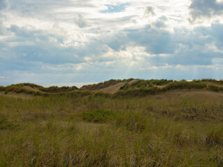 Egmond, Netherlands - August 5th 2023: Beautiful coastline with sand dunes in the afternoon sunshine