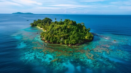 Fototapeta premium A lush, tropical island with clear blue waters offers a picturesque and serene oasis for visitors.