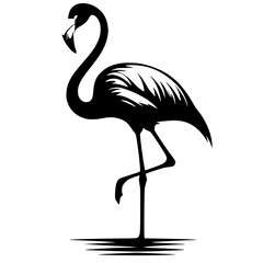 Beautiful flamingo bird silhouette