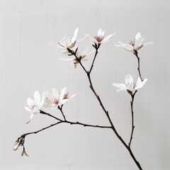 A beautiful arrangement of white flowers placed in a decorative vase, suitable for interior design or still life photography