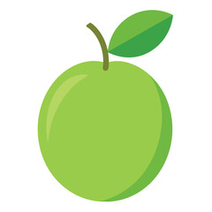 amla fruits vector flat style illustration, solid real color variant, white background