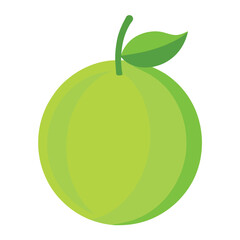 amla fruits vector flat style illustration, solid real color variant, white background