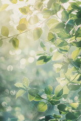 Obraz premium Nature green serene background with soft dappled light filtering through leaves
