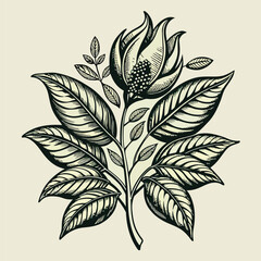 Engraving hand drawn botanical pattern