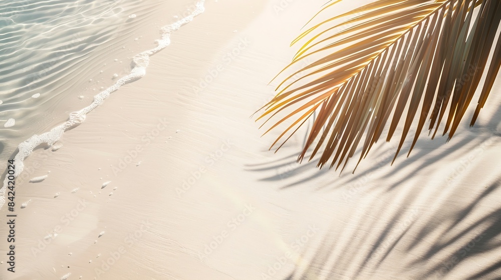 Aufkleber palm leaf shadow on abstract white sand beach background sun lights on water surface beautiful abstr