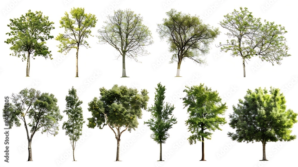 Aufkleber trees collection isolated on white background : generative ai