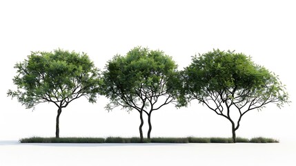 Trees isolated : Generative AI