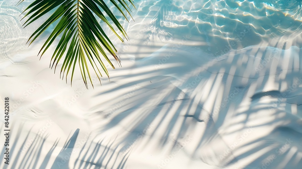 Aufkleber palm leaf shadow on abstract white sand beach background sun lights on water surface beautiful abstr