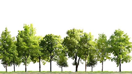 Trees Collection : Generative AI