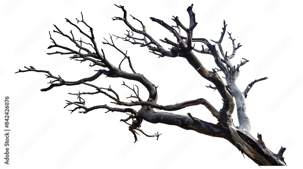 Aufkleber dead tree isolated on a white background clipping path : generative ai