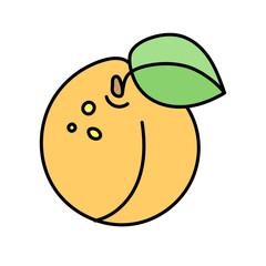 Apricot in doodle style. Vector isolated on white background