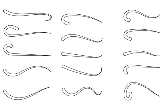 Vintage swirl ornament. Antique flourish swirl decorative elements, classic elegant swirl flourish accent collection for wedding invitation.