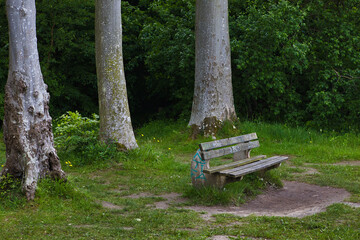 Bank am Gespensterwald an der Ostsee, Ostseeküste im Ostseebad Nienhagen, Landkreis Rostock in...