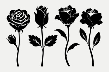 Set of black and white flowers