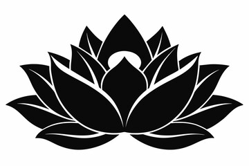 Lotus flowers black and white silhouettes