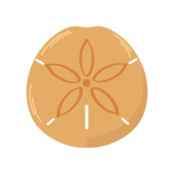Sand dollar icon clipart avatar logotype isolated vector illustration