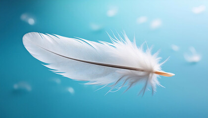 Obraz premium Single white feather floating diagonally on a clear blue background, delicate barbs and soft lighting highlighting its texture, nature, minimalism