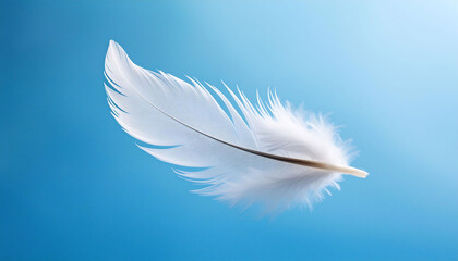 Obraz premium Single white feather floating diagonally on a clear blue background, delicate barbs and soft lighting highlighting its texture, nature, minimalism