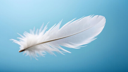 Obraz premium Single white feather floating diagonally on a clear blue background, delicate barbs and soft lighting highlighting its texture, nature, minimalism