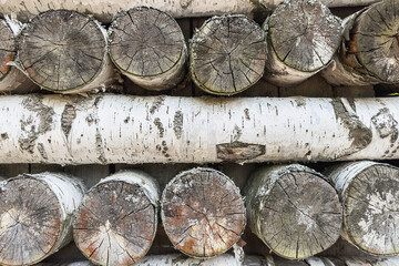 Wall made of birch logs. Log construction.