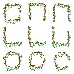 Liana jungle frames. Rainforest liana wild greenery. Cartoon plants, creeper branch. Grass and wood leaf signs. Botany texture. Vector forest game elements set