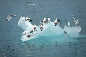 Norway. The landscapes of Svalbard in Springtime