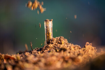 turning a compost pile in a community garden. compost full of microorganisms. sustainable...