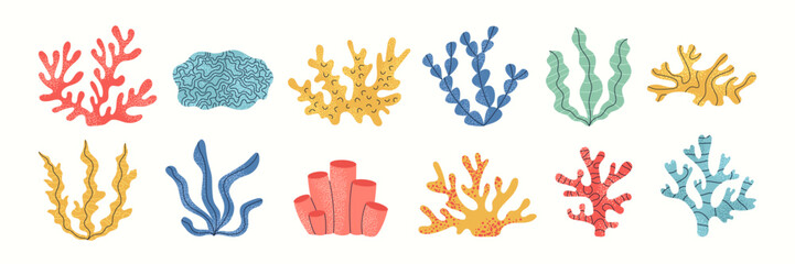 Set of coral and seaweed. Hand drawn aquarium plants, underwater ocean flora, algae. Vector marine plants and animals of the seabed. Flat cartoon illustration.