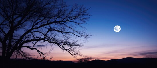 Fototapeta premium Beautiful moon shines brightly in the night sky with stars around it, creating a stunning copy space image.