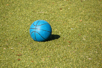 ball on the grass