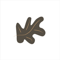 Abstract leaf hand drawn vector element